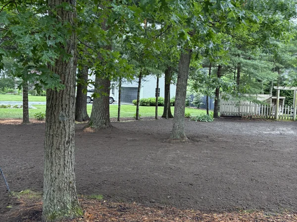 Professional tree work and land clearing by MAC Excavation & Landscape in South Shore MA